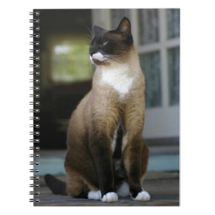 Caderno Espiral Gato Siamês no Porch