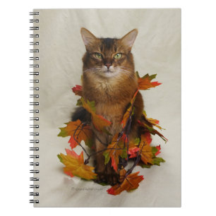Caderno Espiral Gato Somali de Folhas