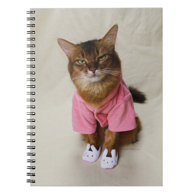 Caderno Espiral Gato Somali em Robe e Slippers (Frente)