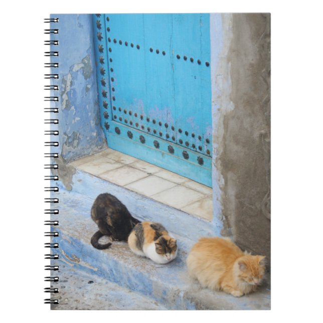 Caderno Espiral Gatos, Chefchaouen, Marrocos (Frente)