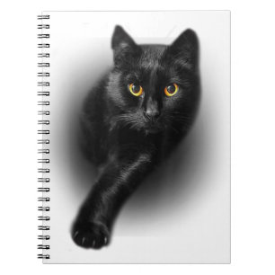 Caderno Espiral Gatos de Olhos Amarelos de Gato Negro