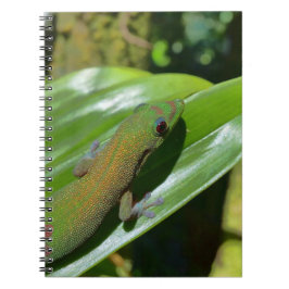 Caderno Espiral Gecko