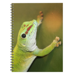 Caderno Espiral Gecko