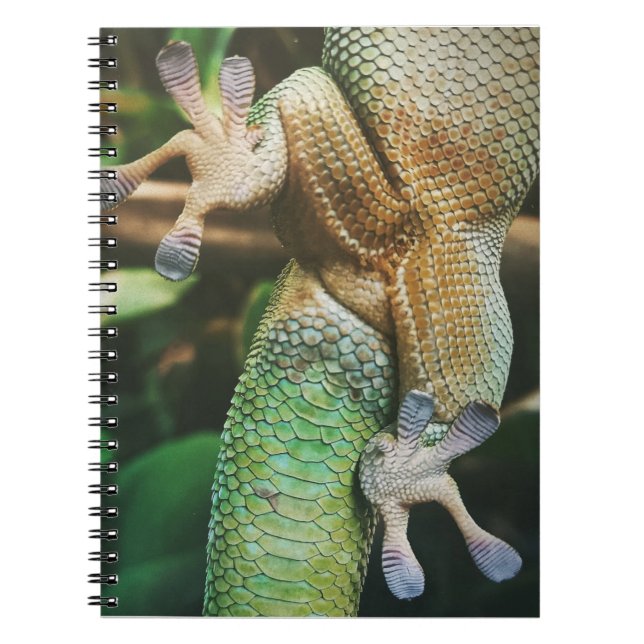 Caderno Espiral Gecko Feet (Frente)