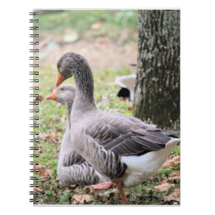 Caderno Espiral Geese