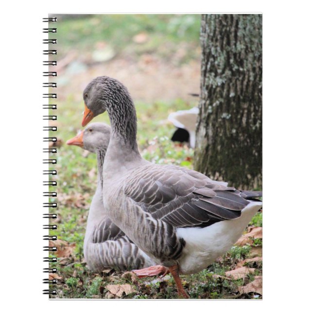 Caderno Espiral Geese (Frente)