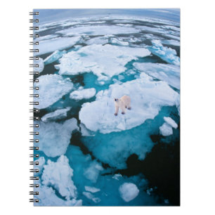 Caderno Espiral Gelo e neve   Urso Polar, Oceano Ártico, Svalbard