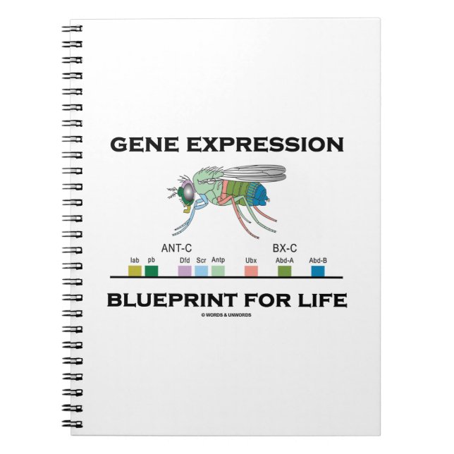 Caderno Espiral Gene Expression Blueprint Para Genes Life Homeobox (Frente)