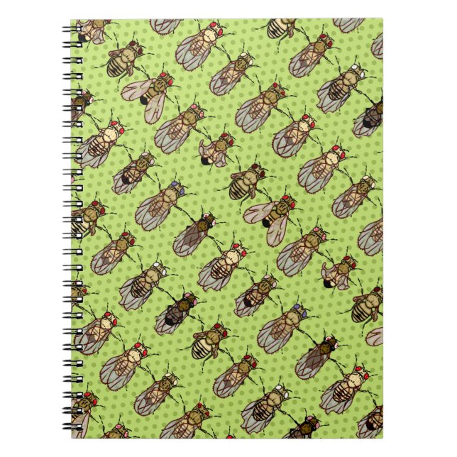 Caderno Espiral Genética da mosca de fruta da drosófila - mutantes (Frente)