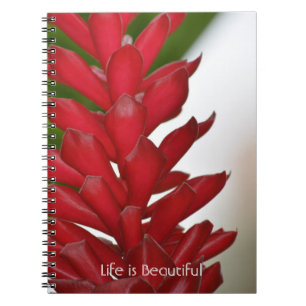 Caderno Espiral Gengibre Vermelho Floral Kauai (minha fotografia)