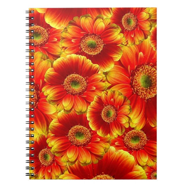 Caderno Espiral Gerbera Daisies Amarelo e Laranja (Frente)