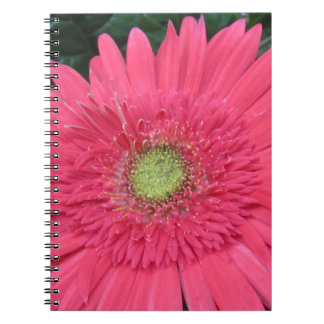 Caderno Espiral Gerbera Daisy