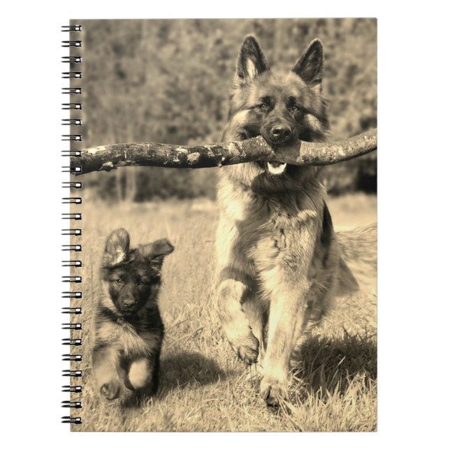 Caderno Espiral German shepherd (Frente)