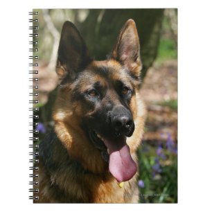 Caderno Espiral German shepherd