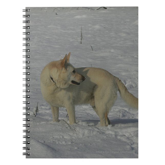 Caderno Espiral German shepherd branco na neve (Frente)