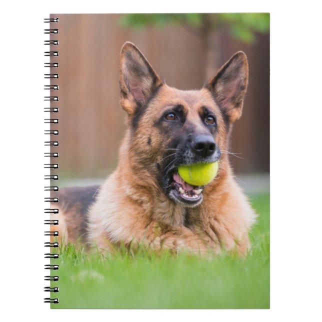 Caderno Espiral German shepherd Com Bola De Tênis (Frente)