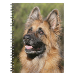 Caderno Espiral German shepherd de cabelos compridos 1