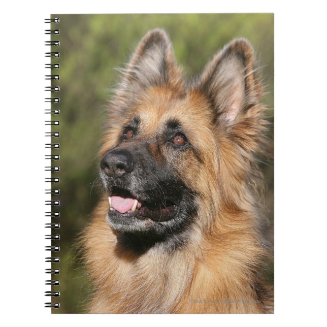 Caderno Espiral German shepherd de cabelos compridos 1 (Frente)