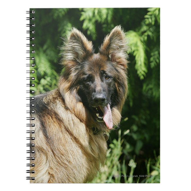 Caderno Espiral German shepherd de cabelos compridos 1 de Brown (Frente)