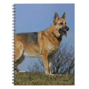 Caderno Espiral German shepherd de cabelos compridos 2 de Brown