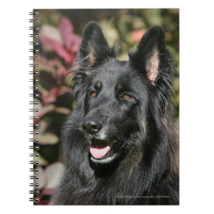 Caderno Espiral German shepherd de cabelos compridos preto