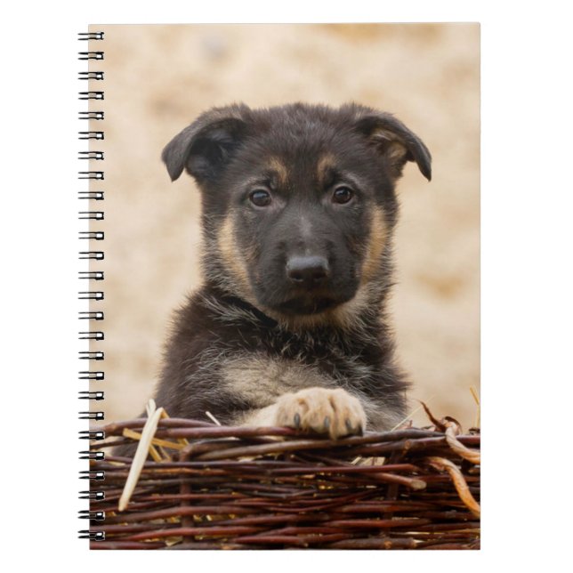 Caderno Espiral German shepherd Em Cesta (Frente)