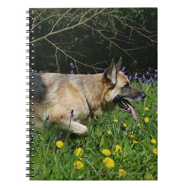 Caderno Espiral German shepherd em flores amarelas (Frente)