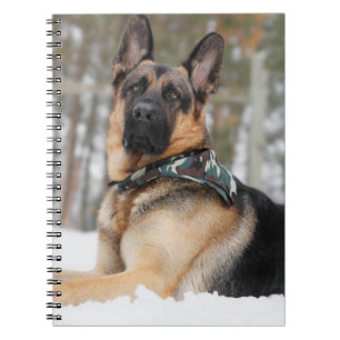 Caderno Espiral German shepherd Na Neve