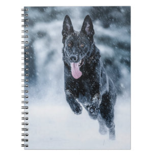 Caderno Espiral German shepherd preto no Cobrir da escova de neve