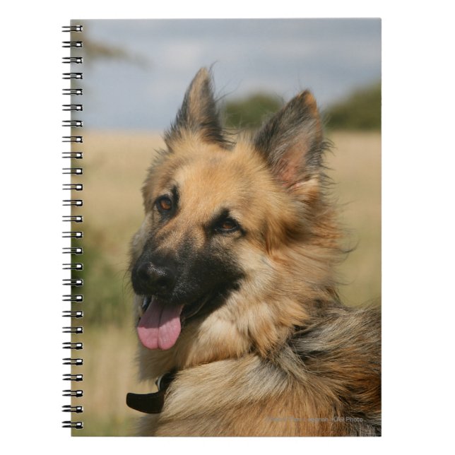 Caderno Espiral German shepherd que cola a língua para fora (Frente)