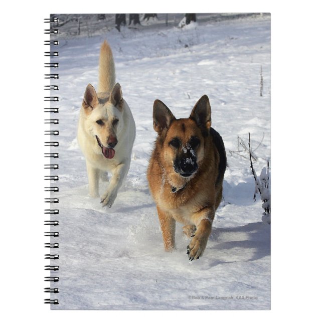 Caderno Espiral German shepherd que funcionam na neve (Frente)
