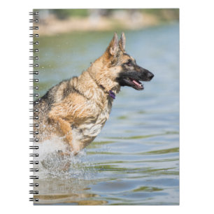 Caderno Espiral German shepherd Salta Em Água