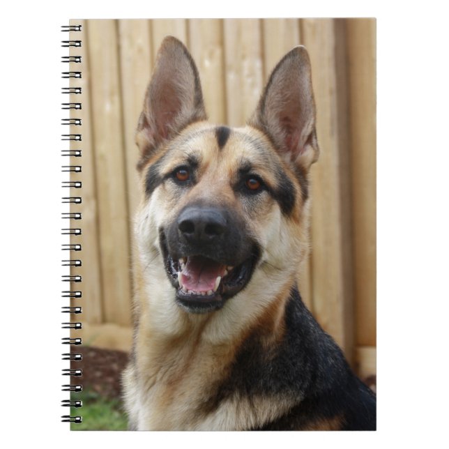 Caderno Espiral German shepherd Sentado (Frente)