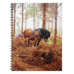 Caderno Espiral Giant Gentil - Rascunho dos Registros de Cavalo na
