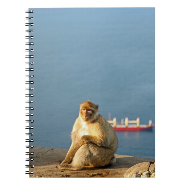 Caderno Espiral Gibraltar Barbary (Frente)