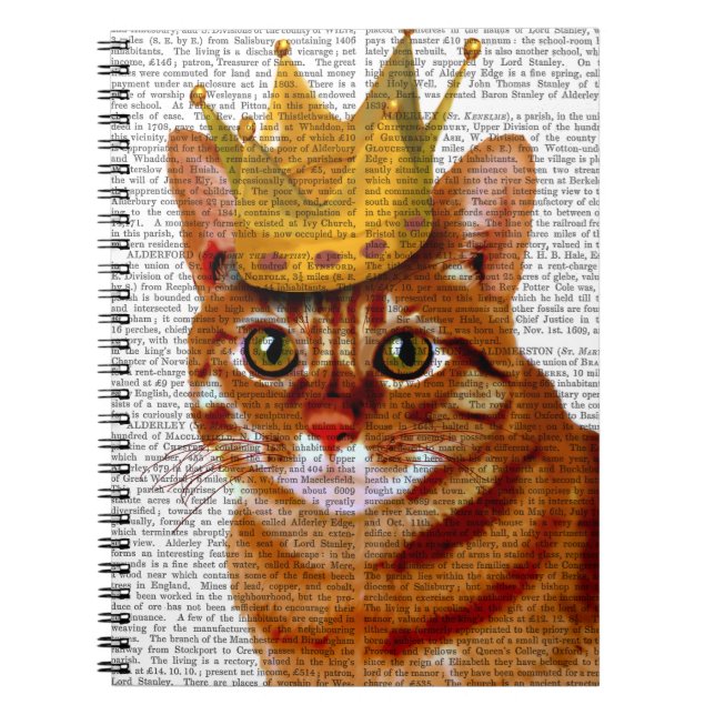 Caderno Espiral Ginger Cat com Crown Portrai (Frente)
