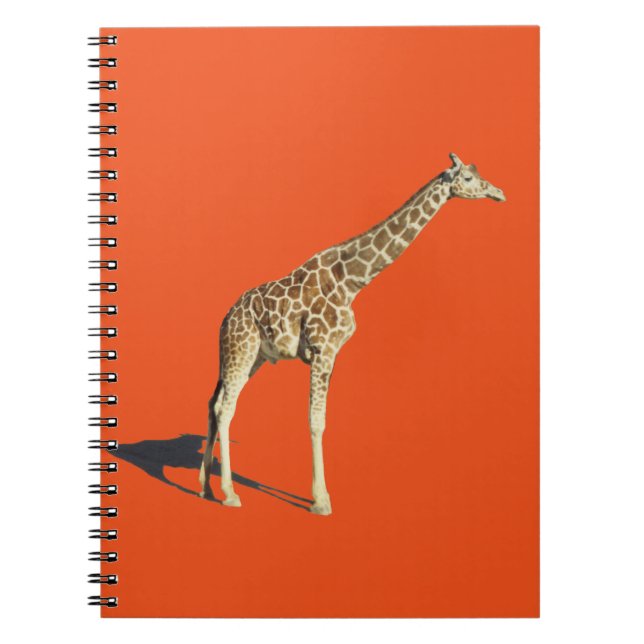 Caderno Espiral Girafa (Frente)