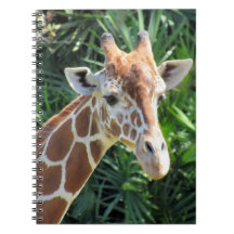 Girafa - Notebook 6,5 x 8,75
