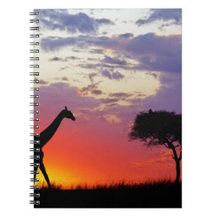 Caderno Espiral Girafa silhuetada ao nascer do sol, Giraffa