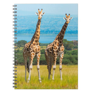 Caderno Espiral Girafas na Savana, Uganda