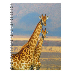 Caderno Espiral Girafas no cenário bonito da natureza de África