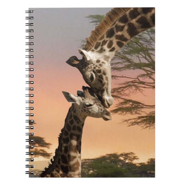 Caderno Espiral Girafas que cumprimentam-se (Frente)