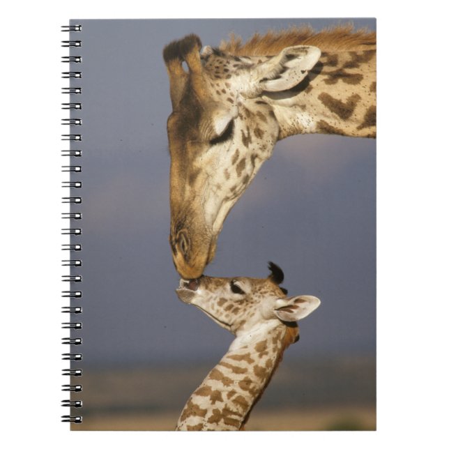 Caderno Espiral Giraffe beijando bebê girafa (Frente)