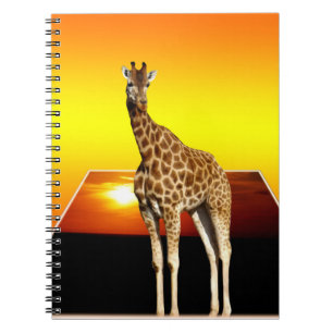 Caderno Espiral Giraffe Ouro Sunshine, Notebook