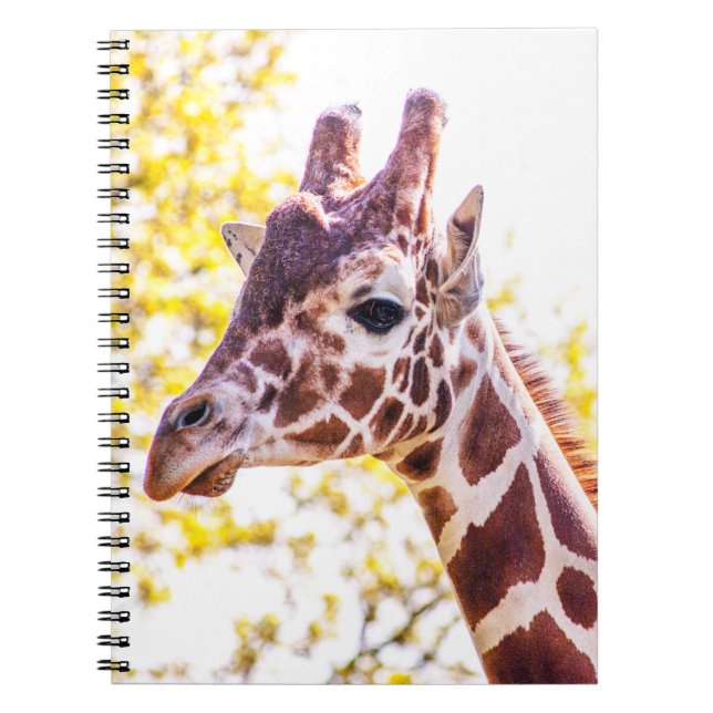 Caderno Espiral Giraffe Portrait (Frente)