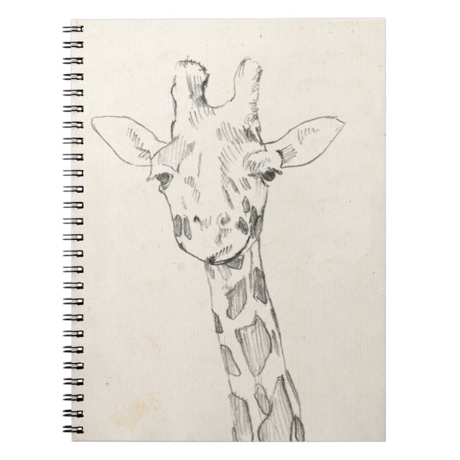 Caderno Espiral Giraffe Portrait | Esboço (Frente)