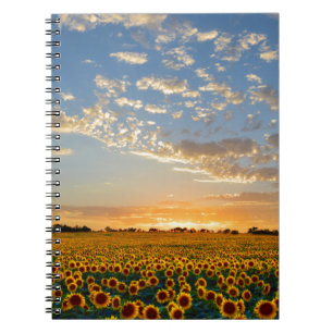 Caderno Espiral Girassóis no Sunset