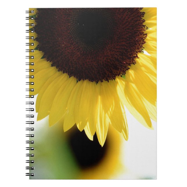 Caderno Espiral Girassol (Frente)