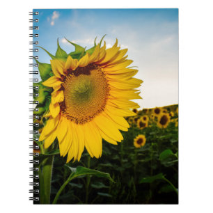Caderno Espiral Girassol