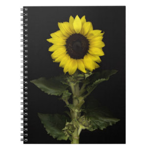 Caderno Espiral Girassol 11